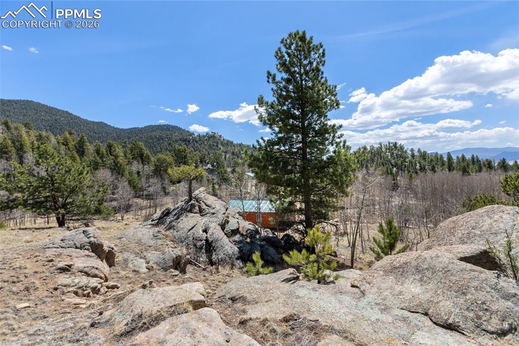 61 Garnet Lane Lake George CO 80827