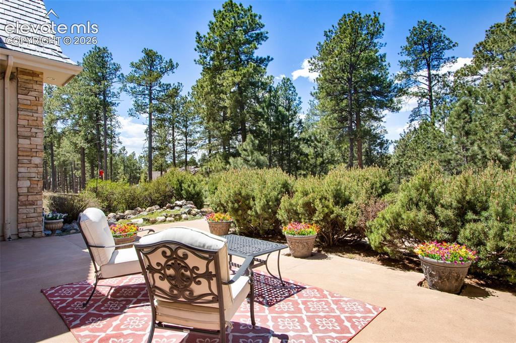 16075 Winding Trail Road Colorado Springs CO 80908