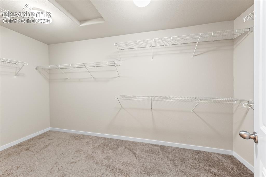 9728 Wando Drive Colorado Springs CO 80925