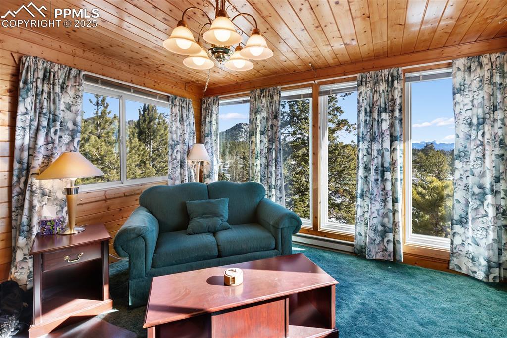 730 Cheyenne Creek Drive Lake George CO 80827