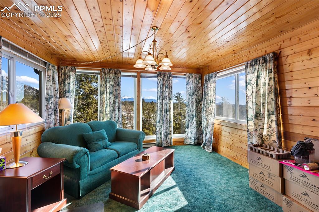 730 Cheyenne Creek Drive Lake George CO 80827