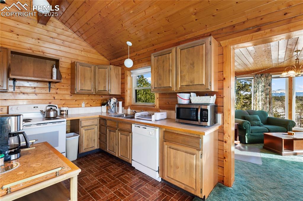 730 Cheyenne Creek Drive Lake George CO 80827
