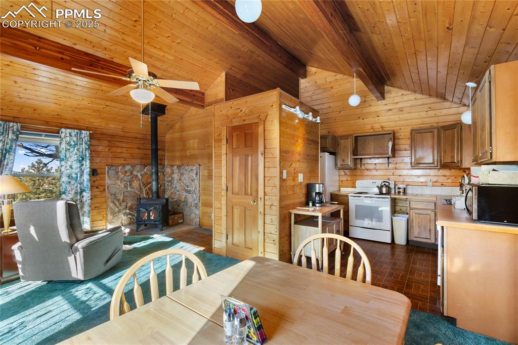 730 Cheyenne Creek Drive Lake George CO 80827