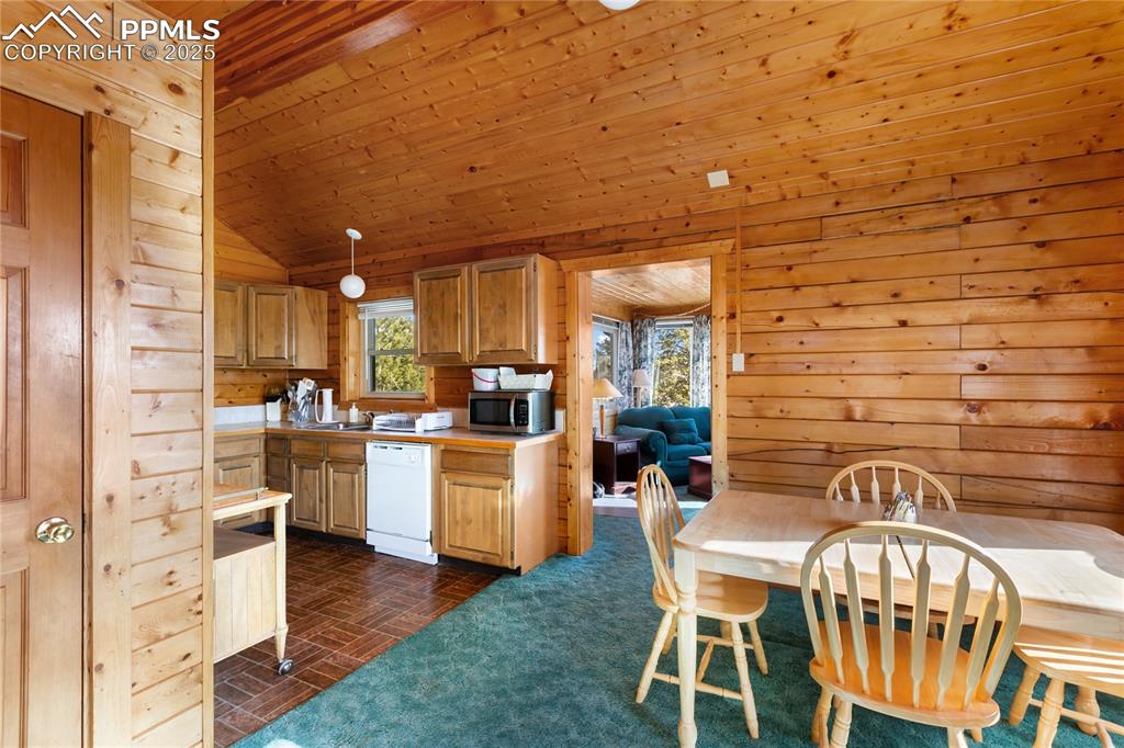 730 Cheyenne Creek Drive Lake George CO 80827