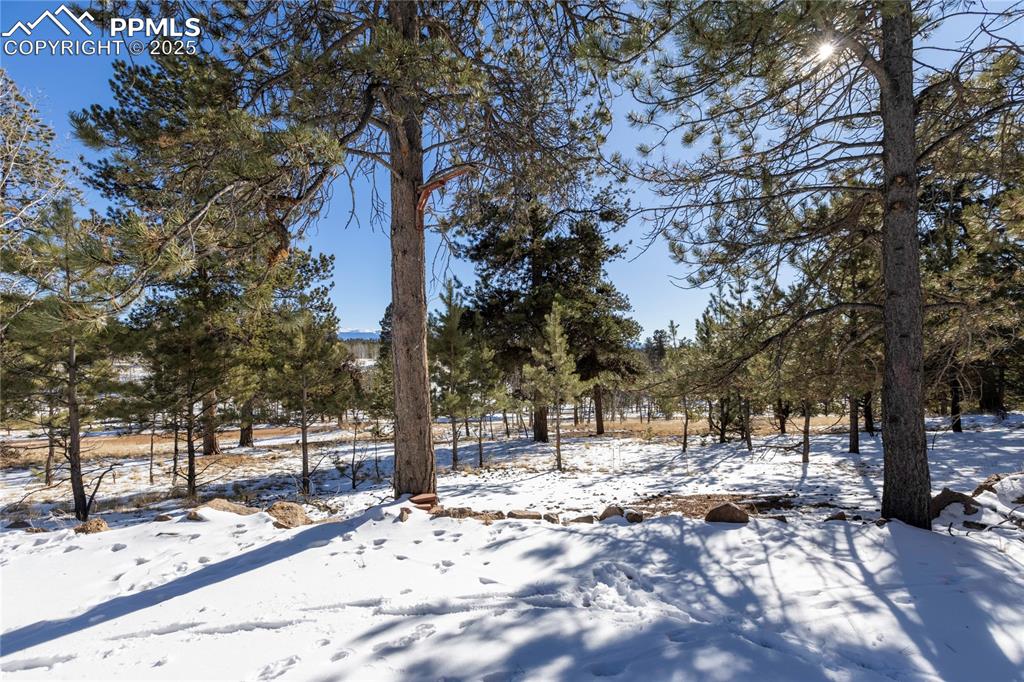 730 Cheyenne Creek Drive Lake George CO 80827