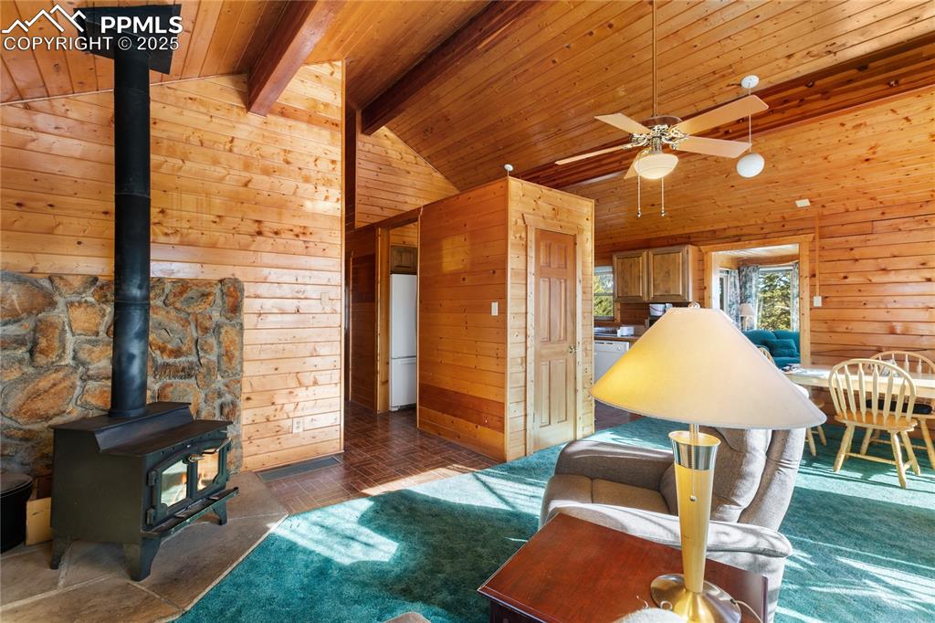 730 Cheyenne Creek Drive Lake George CO 80827