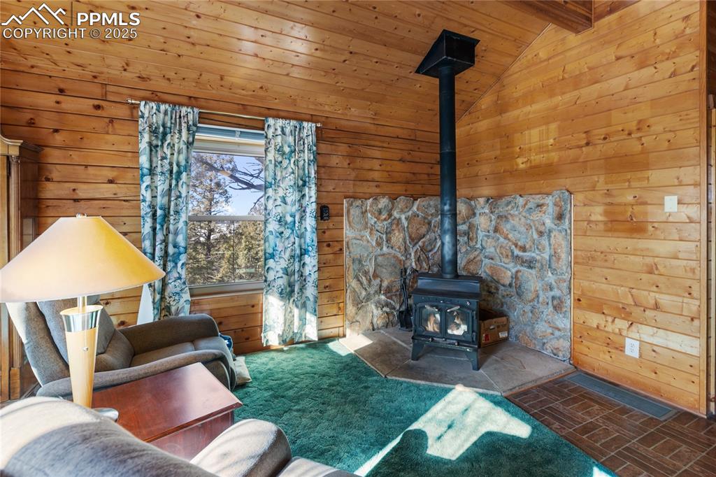 730 Cheyenne Creek Drive Lake George CO 80827