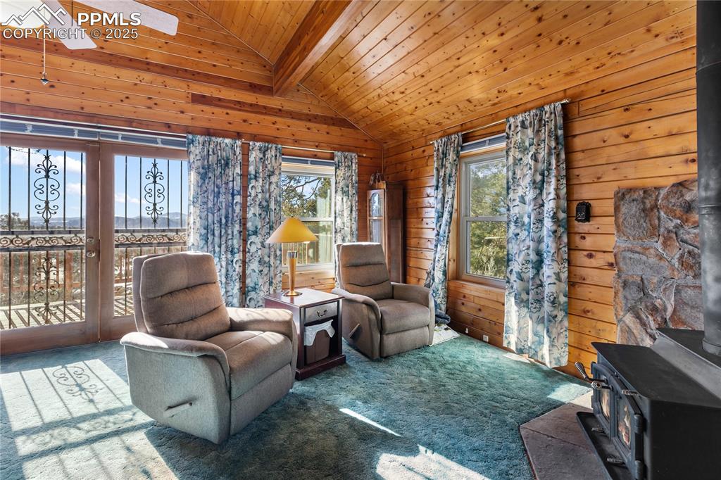 730 Cheyenne Creek Drive Lake George CO 80827