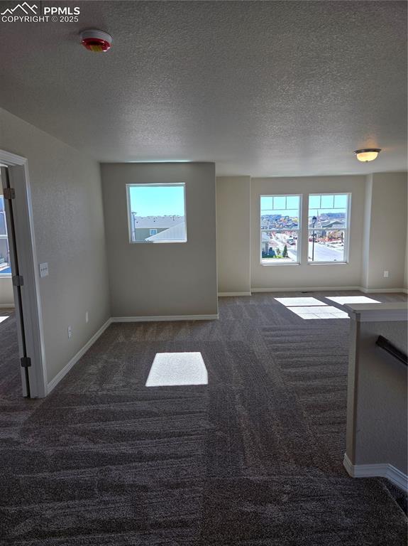 6002 Miller Run Place Colorado Springs CO 80924