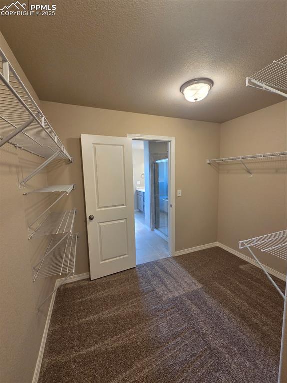 6002 Miller Run Place Colorado Springs CO 80924