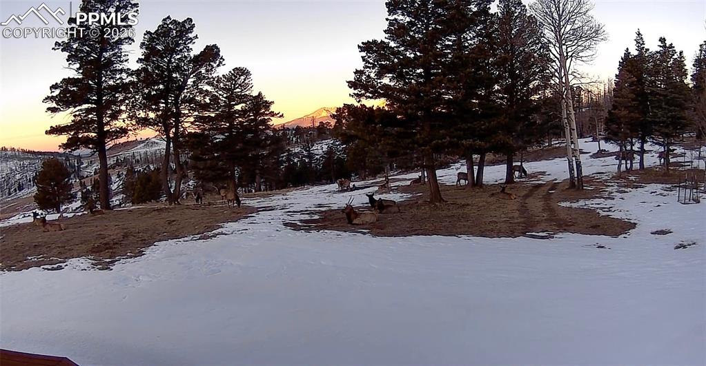 450 Schierl Road Fort Garland CO 81133