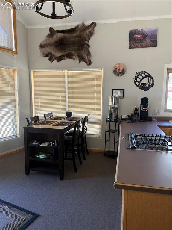 450 Schierl Road Fort Garland CO 81133