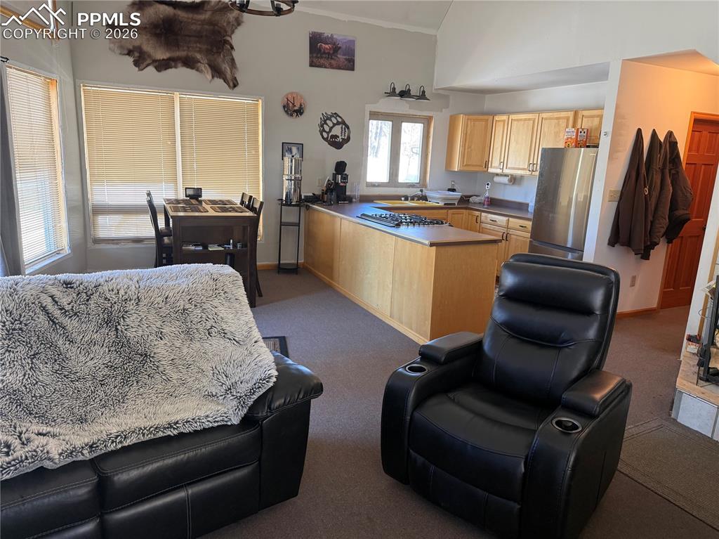 450 Schierl Road Fort Garland CO 81133