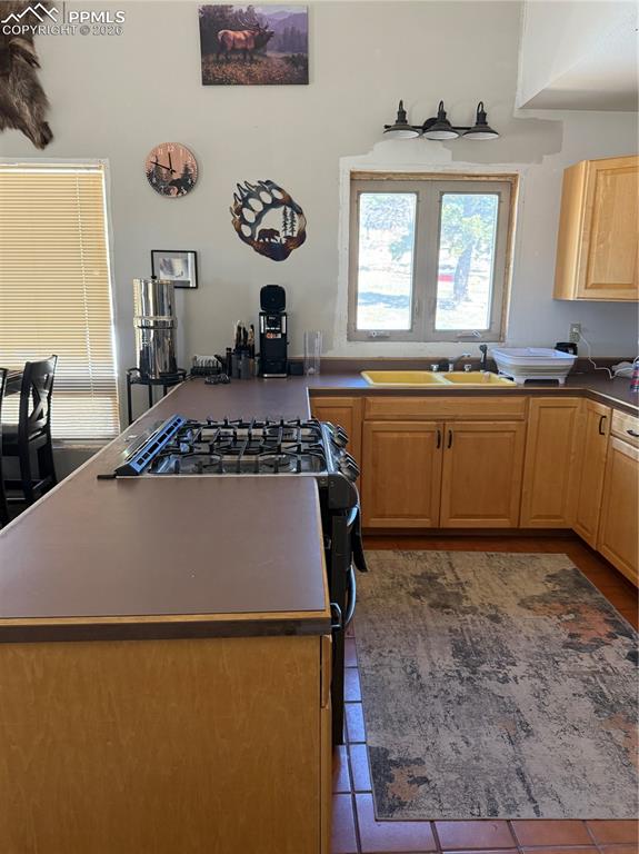 450 Schierl Road Fort Garland CO 81133