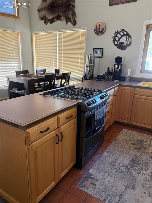 450 Schierl Road Fort Garland CO 81133
