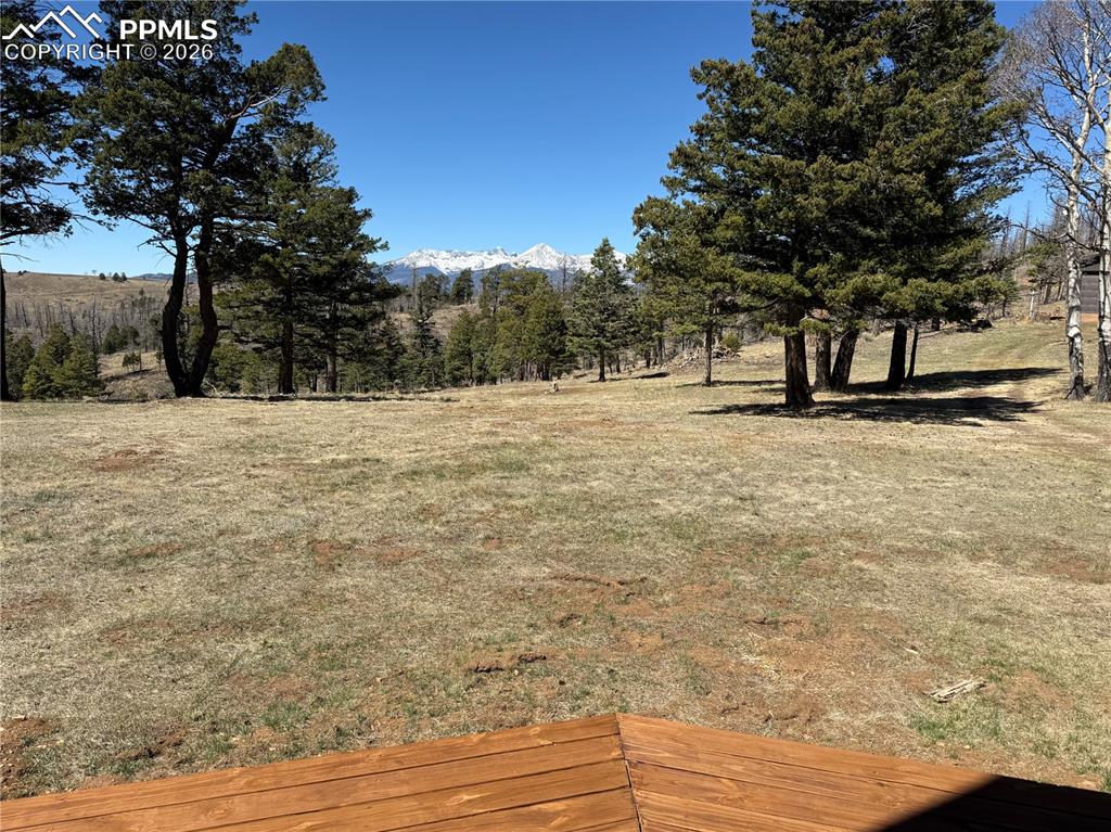 450 Schierl Road Fort Garland CO 81133