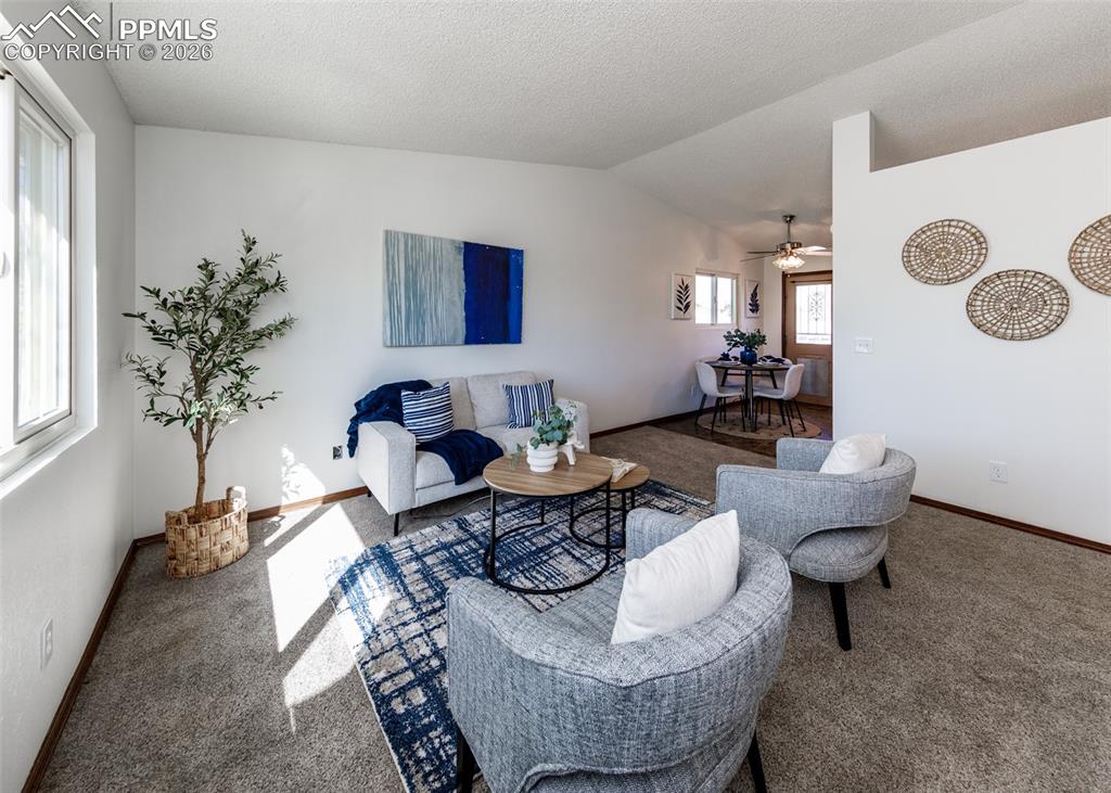 4363 Mcgrew Circle Colorado Springs CO 80911