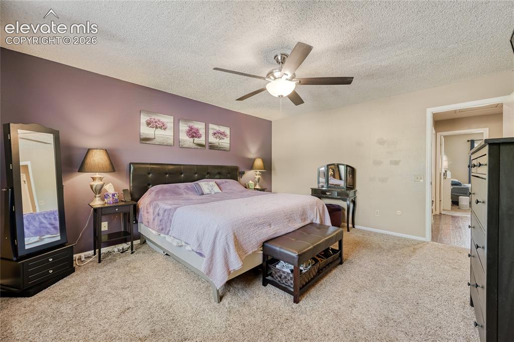 3225 Oak Creek Drive Colorado Springs CO 80906