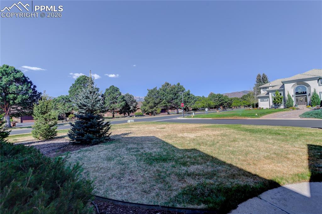 3805 Brushland Court Colorado Springs CO 80904