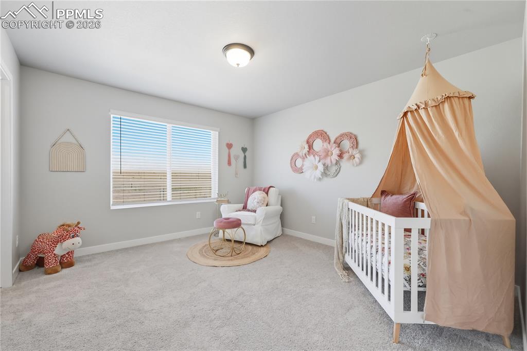 13614 Nederland Drive Peyton CO 80831