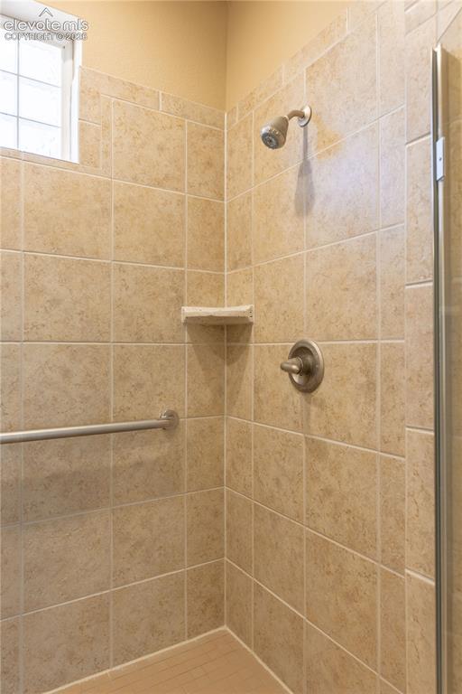 5011 Vermillion Court Castle Rock CO 80108
