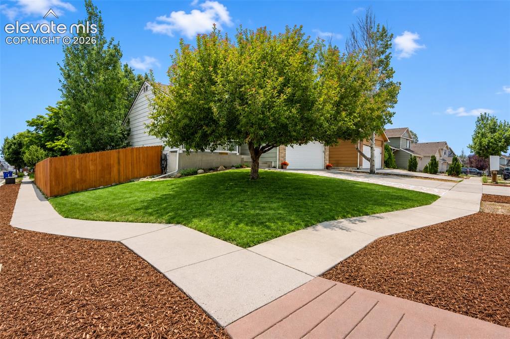6275 Elkhead Drive Colorado Springs CO 80923