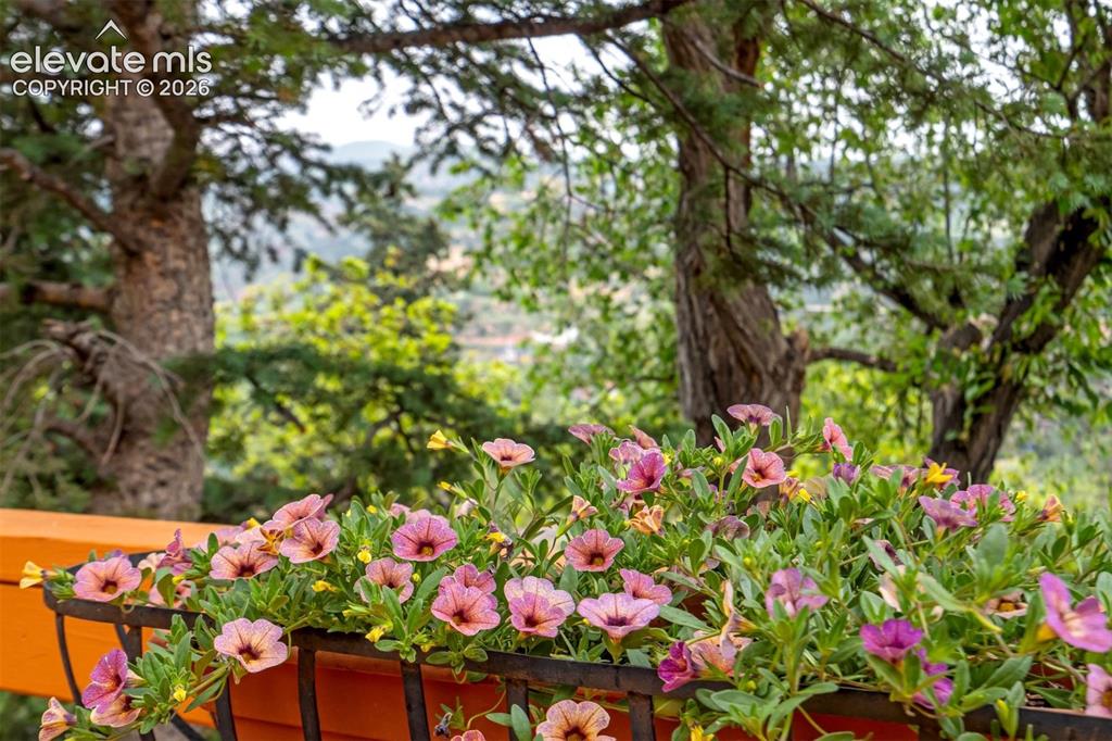 902 High Road Manitou Springs CO 80829