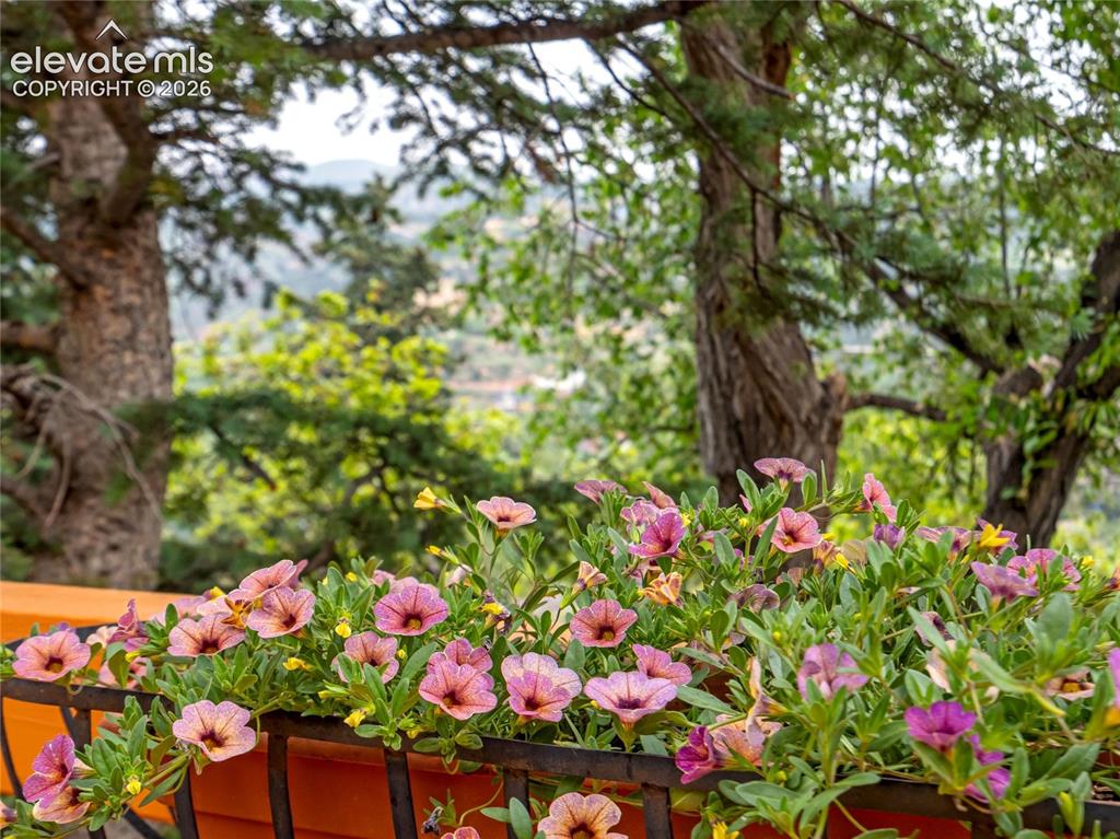 902 High Road Manitou Springs CO 80829