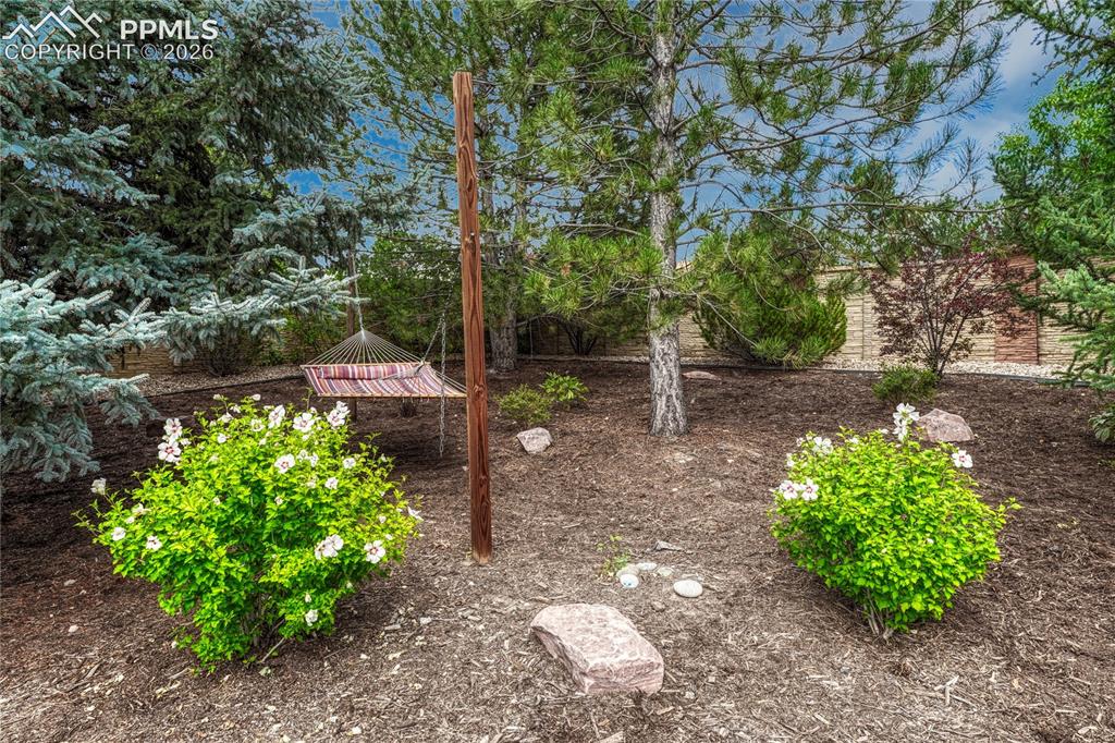 7564 Amberly Drive Colorado Springs CO 80923