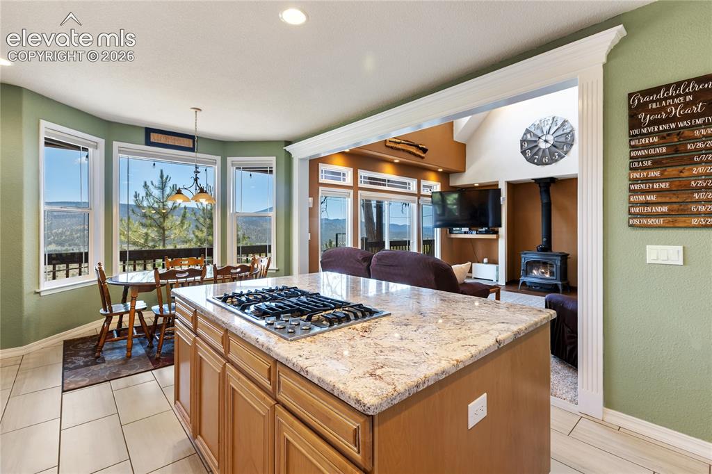 43 Spring Valley Drive Florissant CO 80816