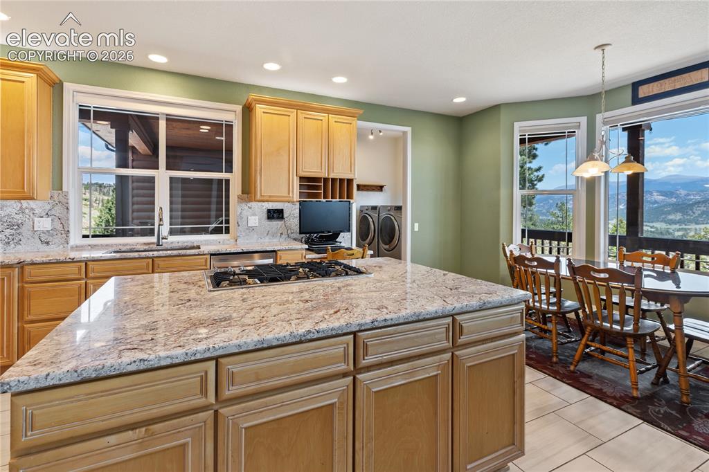 43 Spring Valley Drive Florissant CO 80816