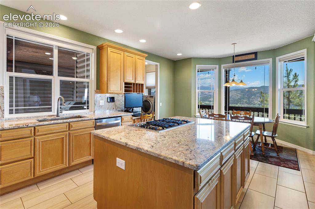 43 Spring Valley Drive Florissant CO 80816