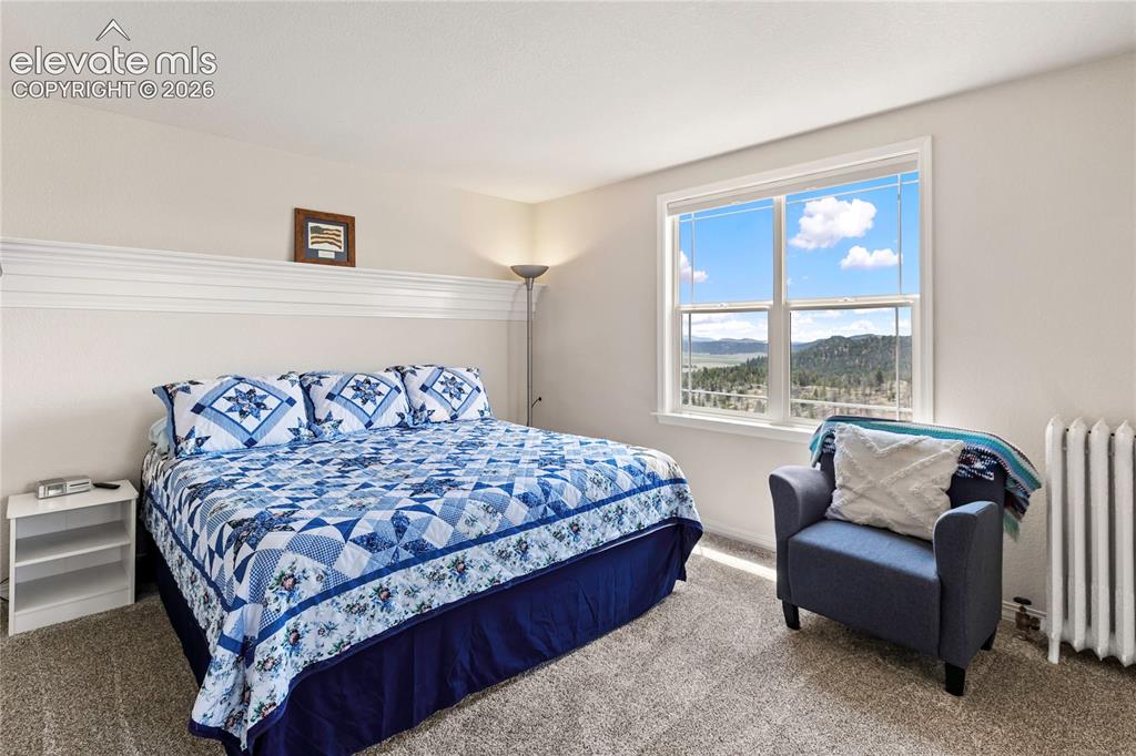 43 Spring Valley Drive Florissant CO 80816