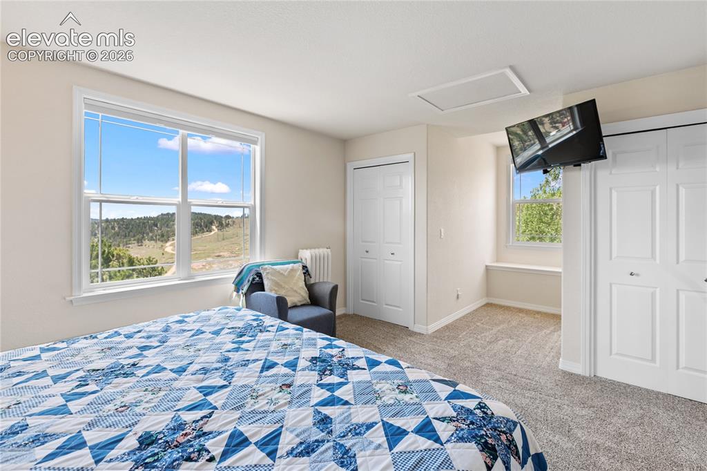 43 Spring Valley Drive Florissant CO 80816