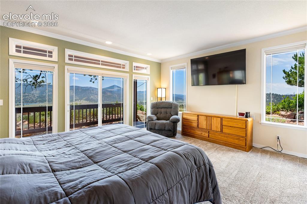 43 Spring Valley Drive Florissant CO 80816