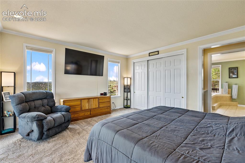 43 Spring Valley Drive Florissant CO 80816