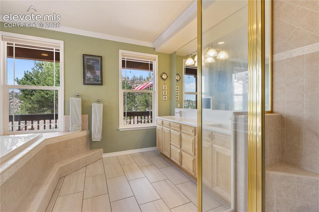 43 Spring Valley Drive Florissant CO 80816