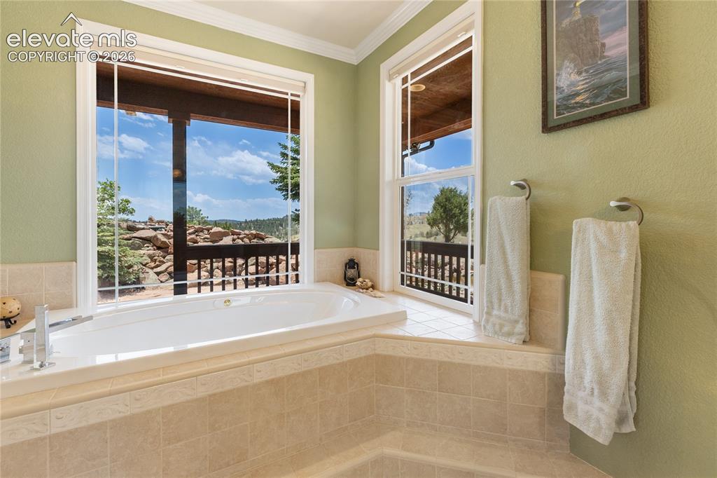 43 Spring Valley Drive Florissant CO 80816