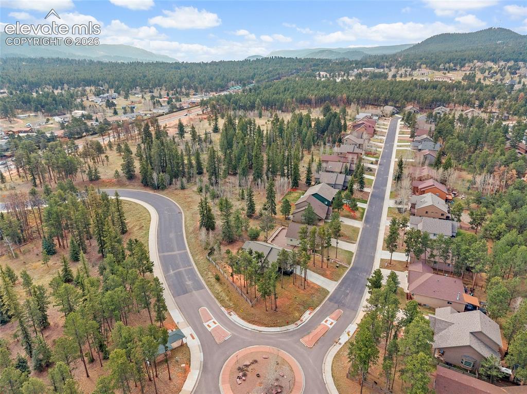 1101 Ptarmigan Drive Woodland Park CO 80863