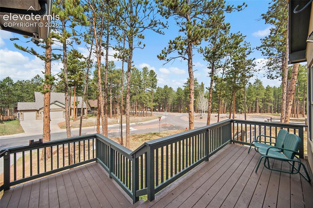1101 Ptarmigan Drive Woodland Park CO 80863