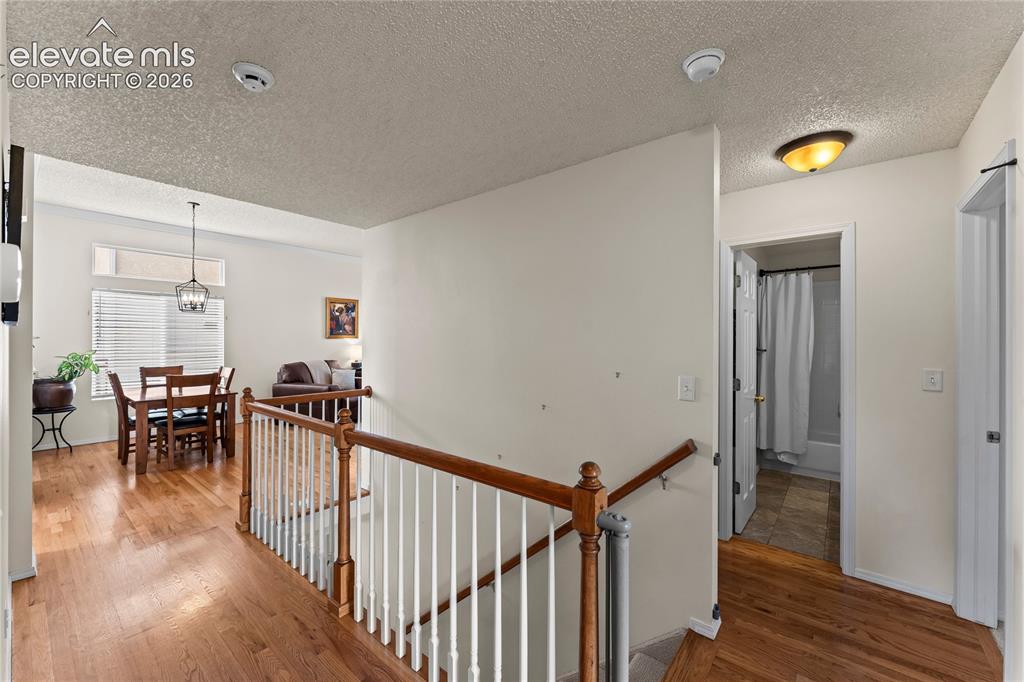 4755 Timber Wolf Trail Colorado Springs CO 80920