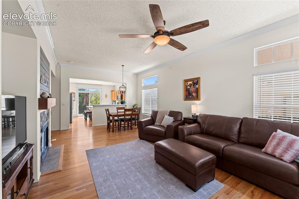4755 Timber Wolf Trail Colorado Springs CO 80920