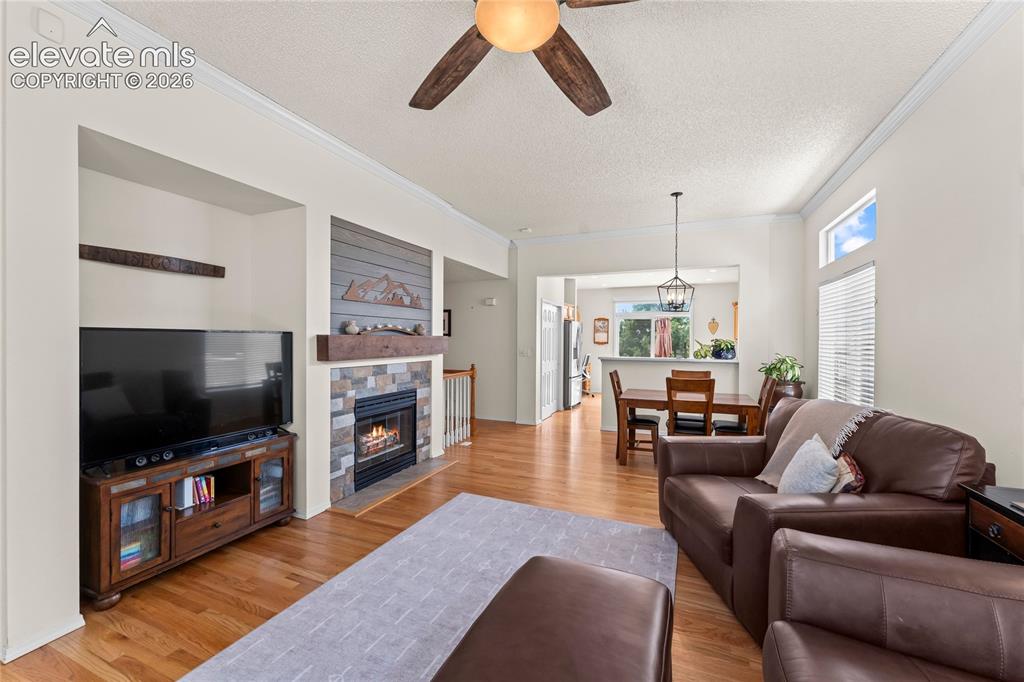 4755 Timber Wolf Trail Colorado Springs CO 80920