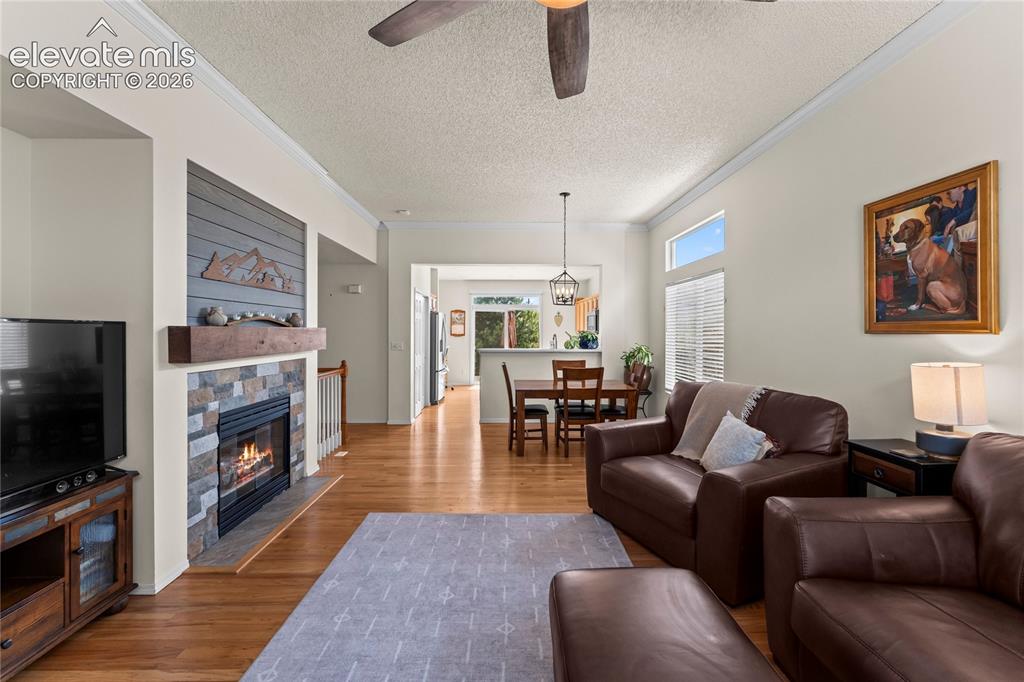 4755 Timber Wolf Trail Colorado Springs CO 80920