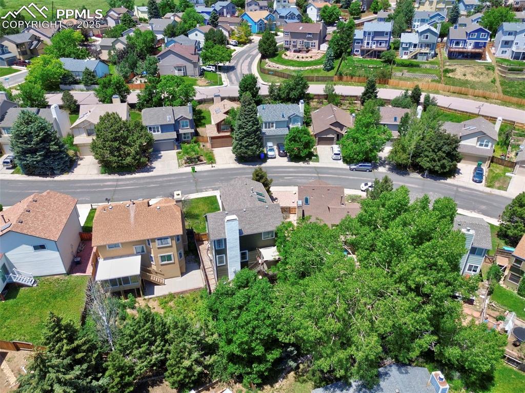 7315 Brentford Drive Colorado Springs CO 80919