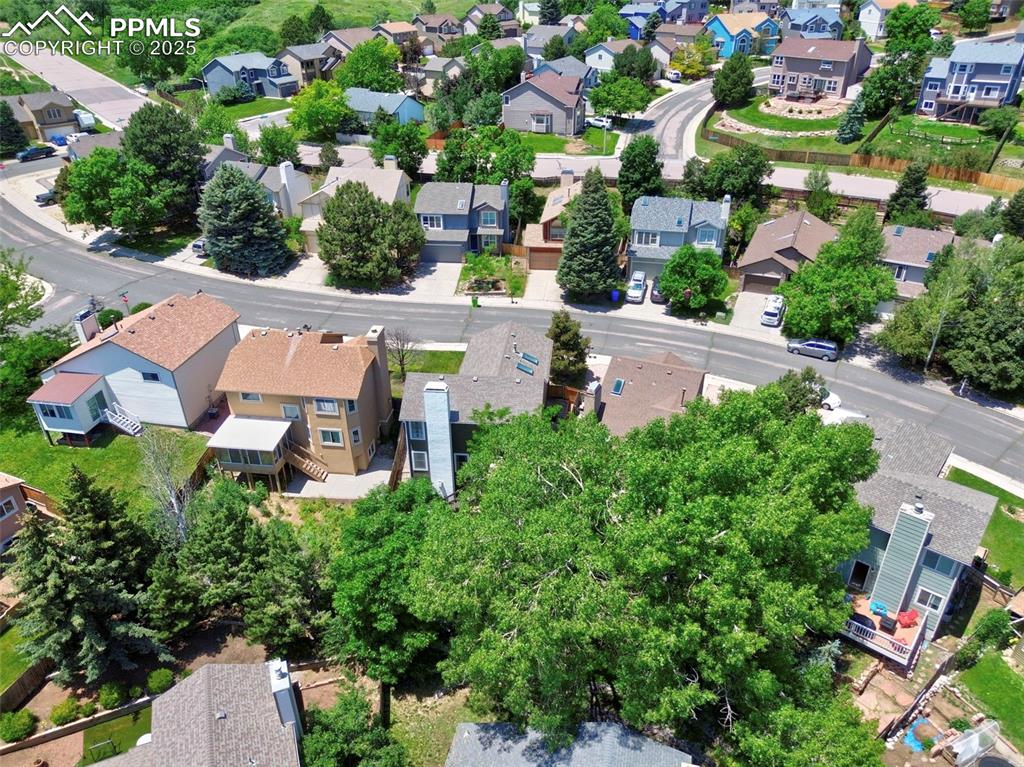 7315 Brentford Drive Colorado Springs CO 80919