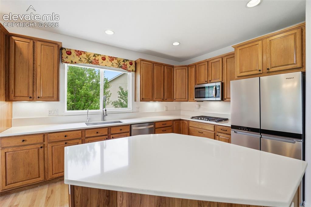 20247 Melanie Ann Court Monument CO 80132