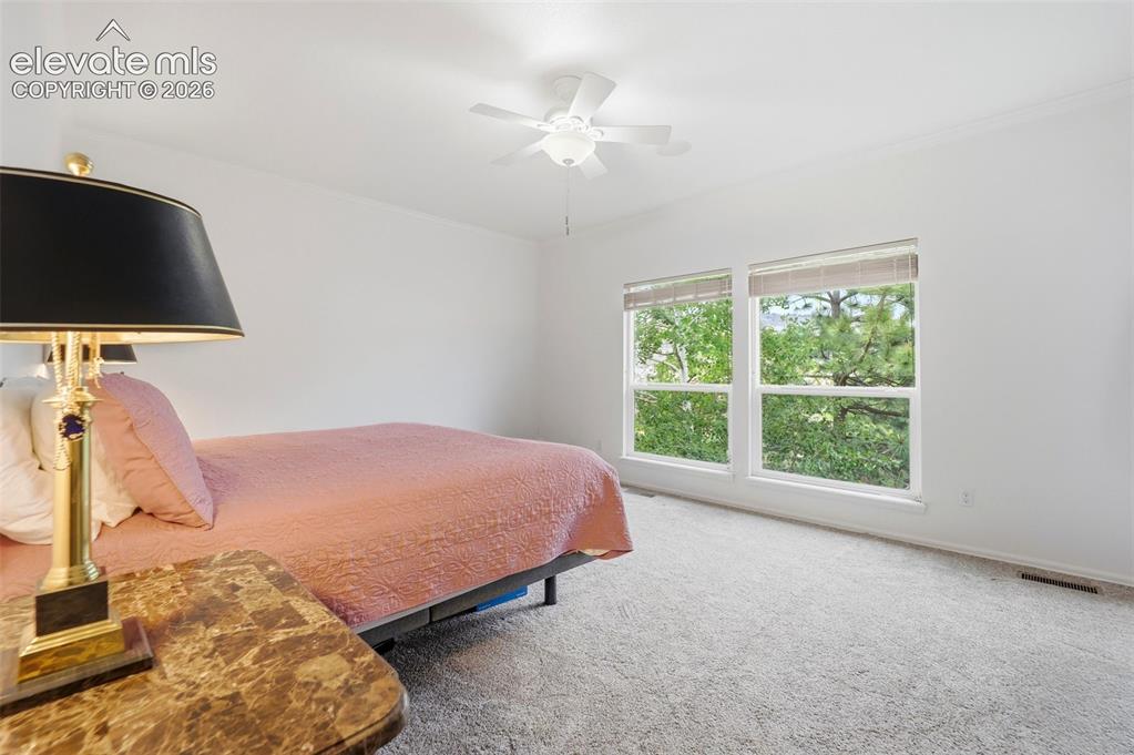 20247 Melanie Ann Court Monument CO 80132