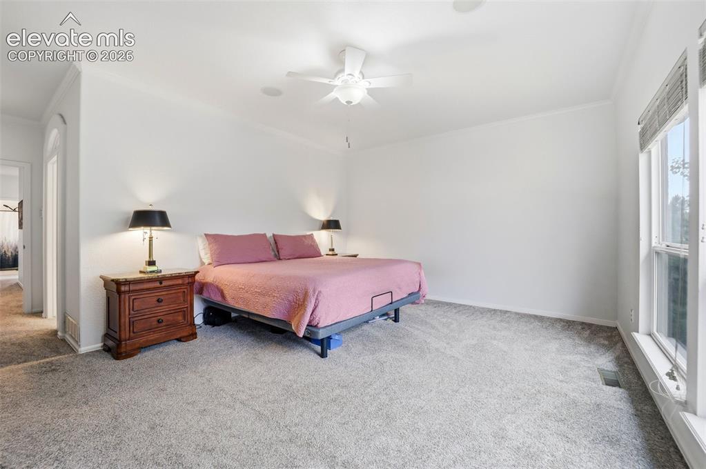 20247 Melanie Ann Court Monument CO 80132