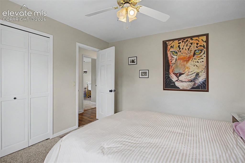 8335 Ashford Court Colorado Springs CO 80920
